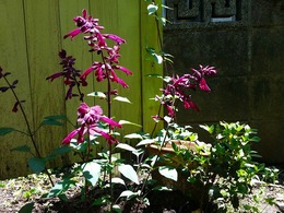 20160430_122805.jpg