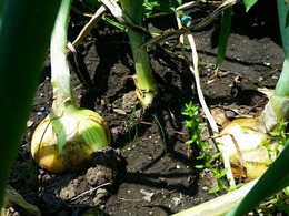 20160430_122903.jpg