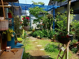 20160430_123434.jpg