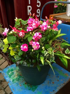 20160503110000.jpg