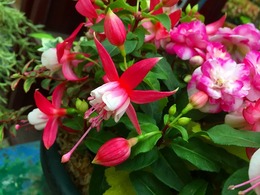 20160503110708.jpg