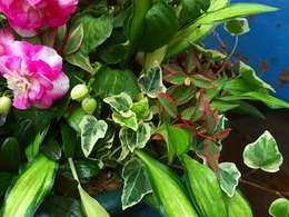 20160503111010.jpg