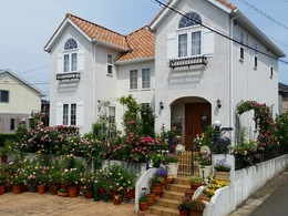 20160505_102405.jpg