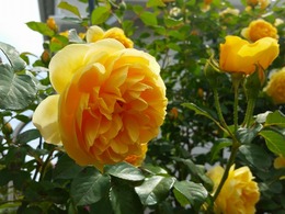 20160505_102643.jpg