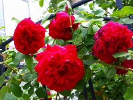 20160505_102857.jpg