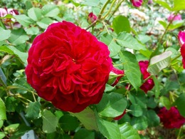 20160505_103024.jpg
