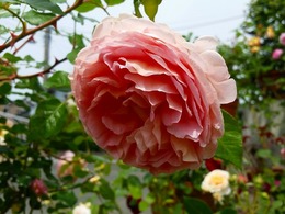 20160505_103133.jpg