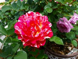 20160505_103414.jpg