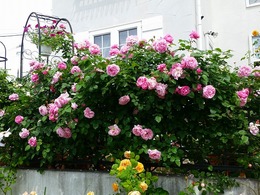 20160505_103444.jpg