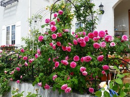 20160505_103528.jpg