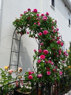 20160505_103619.jpg