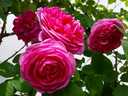 20160505_103644.jpg