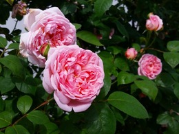 20160505_103739.jpg