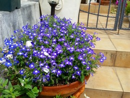 20160505_103846.jpg