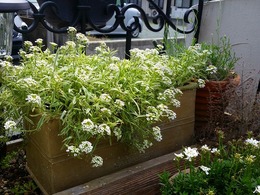 20160505_103902.jpg