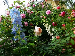 20160505_104423.jpg