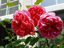 20160505_104624.jpg