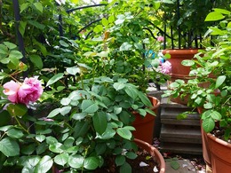 20160505_104705.jpg