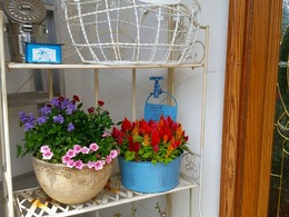 20160505_104939.jpg