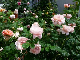 20160505_105325.jpg