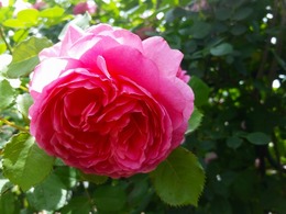 20160505_105712.jpg