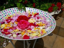 20160505_105736.jpg