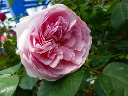 20160505_112619.jpg
