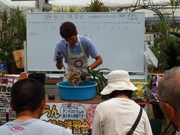 20160528101010.jpg