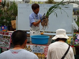 20160528101515.jpg