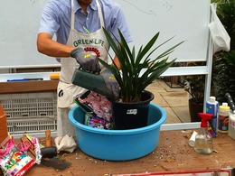 20160528111010.jpg
