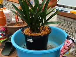 20160528111213.jpg