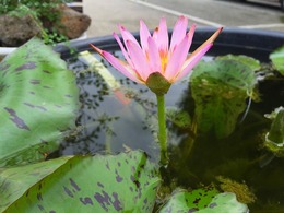 20160613140010.jpg