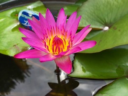 20160613141525.jpg