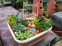 20160913170010.jpg
