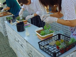 20160924111520.jpg