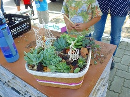 20160924112327.jpg
