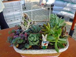 20160924112530.jpg