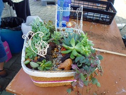 20160924113035.jpg