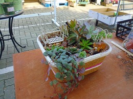 20160924113540.jpg