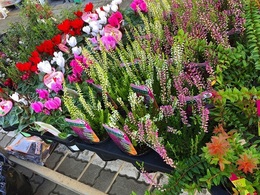20161015100005.jpg