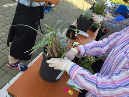 20161015102428.jpg