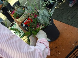 20161015104045.jpg