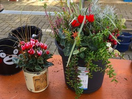 20161015104853.jpg