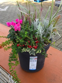20161015105258.jpg