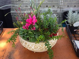 20161015105703.jpg
