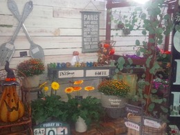 IMG_20160930_17412003.jpg