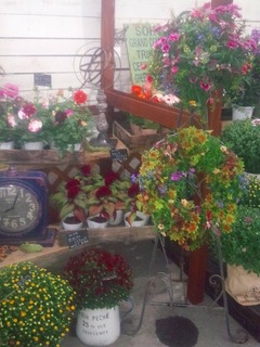 IMG_20160930_17422203.jpg