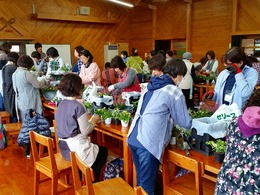 20161108_112756.jpg