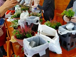 20161108_113002.jpg