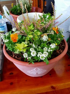 20161108_114837.jpg